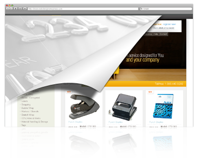 Ecommerce Development - Shopping Cart Development - Online Ecommerce - Ecommerce Website Design - Miami Ecommerce Website